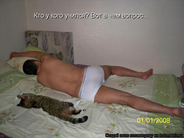 Кто у кого учился? Вот в чем вопрос...... Котоматрица: Кто у кого учился? Вот в чем вопрос...