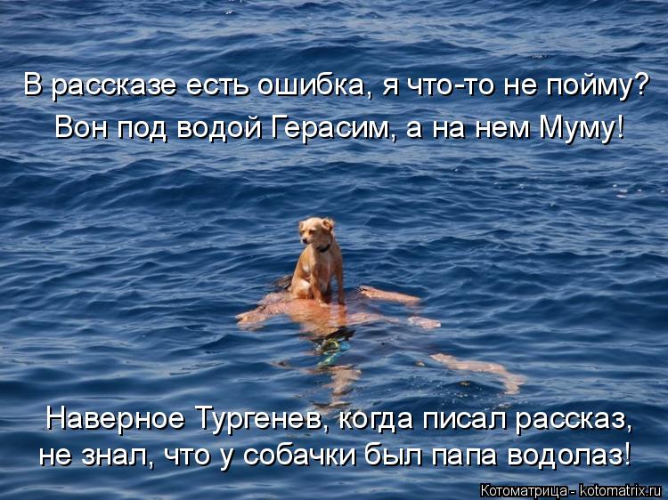 В рассказе есть ошибка, я что-то не пойму? не знал, что у собачки был папа водолаз! Наверное Тургене... Котоматрица: В рассказе есть ошибка, я что-то не пойму? не знал, что у собачки был папа водолаз! Наверное Тургенев, когда писал рассказ, Вон под водой Гера