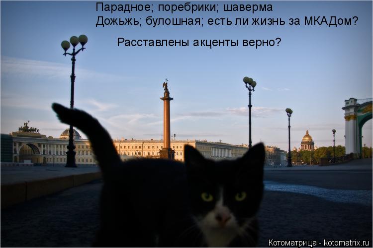 Парадное; поребрики; шаверма Дожьжь; булошная; есть ли жизнь за МКАДом? Расставлены акценты верно?... Котоматрица: Парадное; поребрики; шаверма Дожьжь; булошная; есть ли жизнь за МКАДом? Расставлены акценты верно?