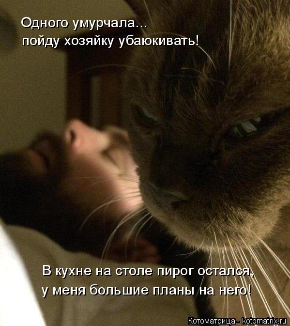 Одного умурчала... пойду хозяйку убаюкивать! В кухне на столе пирог остался, у меня большие планы на ... Котоматрица: Одного умурчала... пойду хозяйку убаюкивать! В кухне на столе пирог остался, у меня большие планы на него!