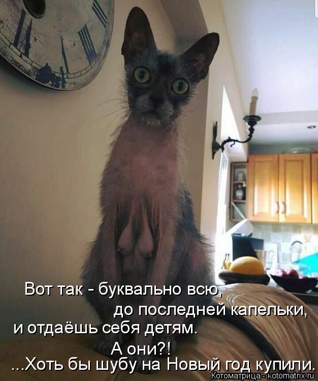 Вот так - буквально всю, и отдаёшь себя детям. до последней капельки, А они?! ...Хоть бы шубу на Новы... Котоматрица: Вот так - буквально всю, и отдаёшь себя детям. до последней капельки, А они?! ...Хоть бы шубу на Новый год купили.