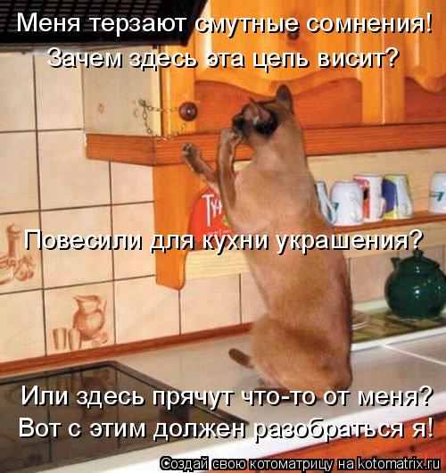 Меня терзают смутные сомнения! Или здесь прячут что-то от меня? Вот с этим должен разобраться я! Заче... Котоматрица: Меня терзают смутные сомнения! Или здесь прячут что-то от меня? Вот с этим должен разобраться я! Зачем здесь эта цепь висит? Повесили для кух?