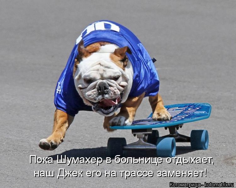Котоматрица: Пока Шумахер в больнице отдыхает, наш Джек его на трассе заменяет!