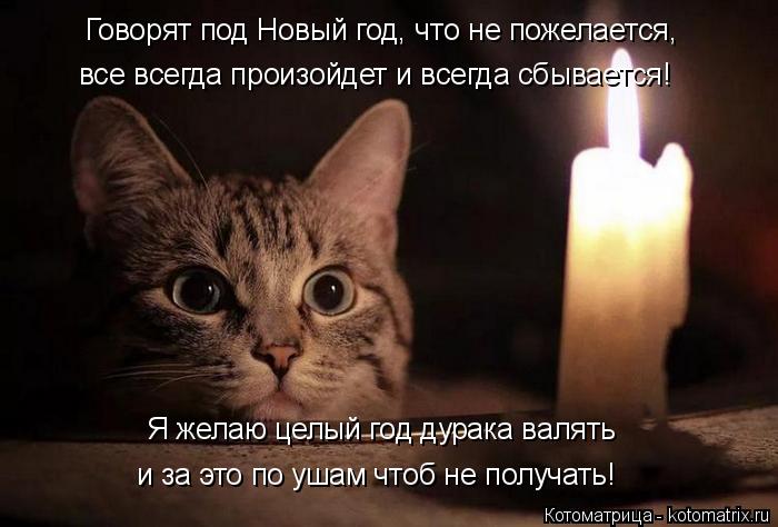 Говорят под Новый год, что не пожелается, все всегда произойдет и всегда сбывается! Я желаю целый год... Котоматрица: Говорят под Новый год, что не пожелается, все всегда произойдет и всегда сбывается! Я желаю целый год дурака валять и за это по ушам чтоб не п