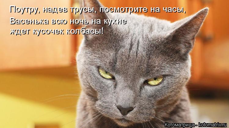 Поутру, надев трусы, посмотрите на часы, Васенька всю ночь на кухне ждет кусочек колбасы!... Котоматрица: Поутру, надев трусы, посмотрите на часы, Васенька всю ночь на кухне ждет кусочек колбасы!