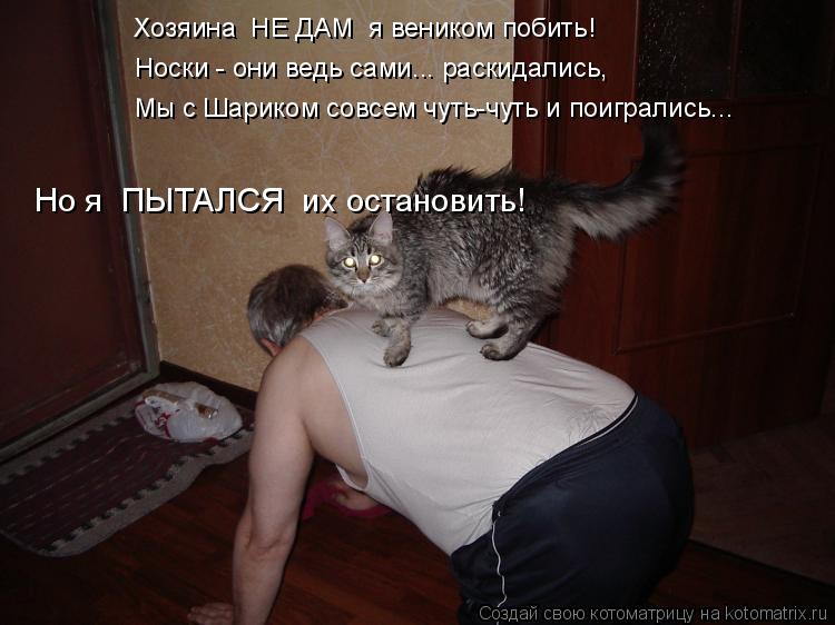 Хозяина НЕ ДАМ я веником побить! Но я ПЫТАЛСЯ их остановить! Носки - они ведь сами... раскидались... Котоматрица: Хозяина НЕ ДАМ я веником побить! Но я ПЫТАЛСЯ их остановить! Носки - они ведь сами... раскидались, Мы с Шариком совсем чуть-чуть и поигрались