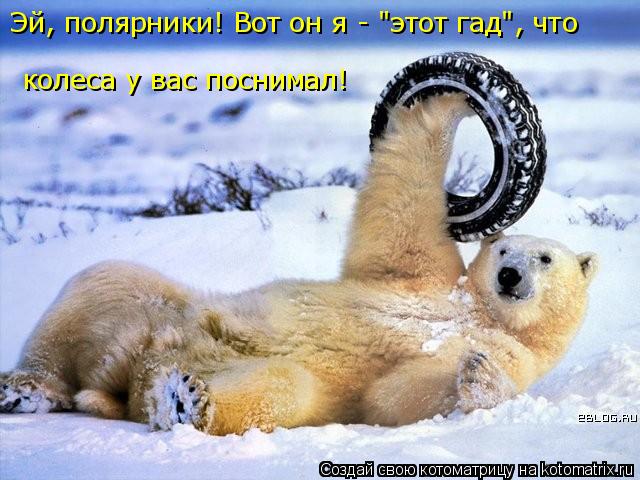 Эй, полярники! Вот он я - "этот гад", что колеса у вас поснимал!... Котоматрица: Эй, полярники! Вот он я - "этот гад", что колеса у вас поснимал!