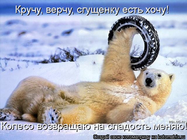 Кручу, верчу, сгущенку есть хочу! Колесо возвращаю на сладость меняю!... Котоматрица: Кручу, верчу, сгущенку есть хочу! Колесо возвращаю на сладость меняю!