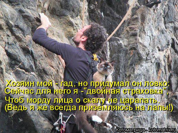 Хозяин мой - гад, но придумал он ловко: Сейчас для него я -"двойная страховка", Чтоб морду лица о ска... Котоматрица: Хозяин мой - гад, но придумал он ловко: Сейчас для него я -"двойная страховка", Чтоб морду лица о скалу не царапать. (Ведь я же всегда приземляю?