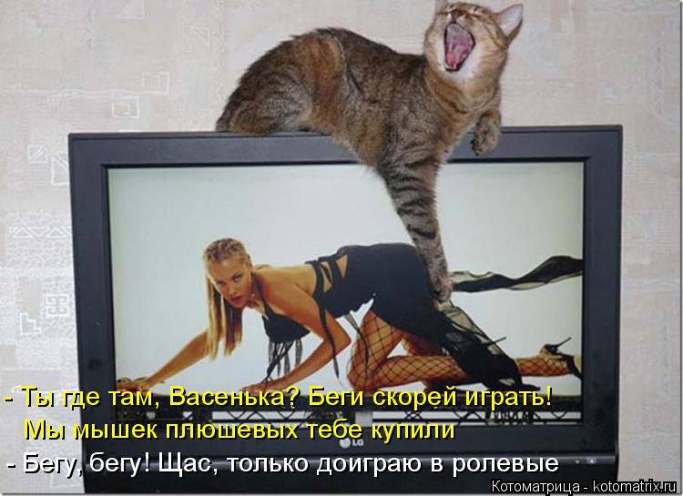 - Ты где там, Васенька? Беги скорей играть! Мы мышек плюшевых тебе купили - Бегу, бегу! Щас, только д... Котоматрица: - Ты где там, Васенька? Беги скорей играть! Мы мышек плюшевых тебе купили - Бегу, бегу! Щас, только доиграю в ролевые