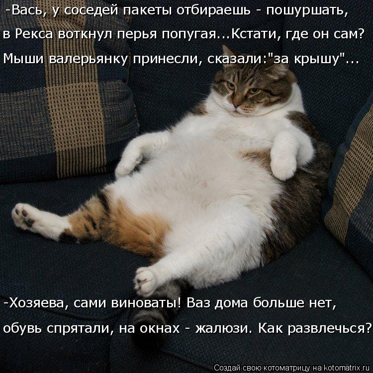 -Вась, у соседей пакеты отбираешь - пошуршать, в Рекса воткнул перья попугая...Кстати, где он сам? М... Котоматрица: -Вась, у соседей пакеты отбираешь - пошуршать, в Рекса воткнул перья попугая...Кстати, где он сам? Мыши валерьянку принесли, сказали:"за крышу"