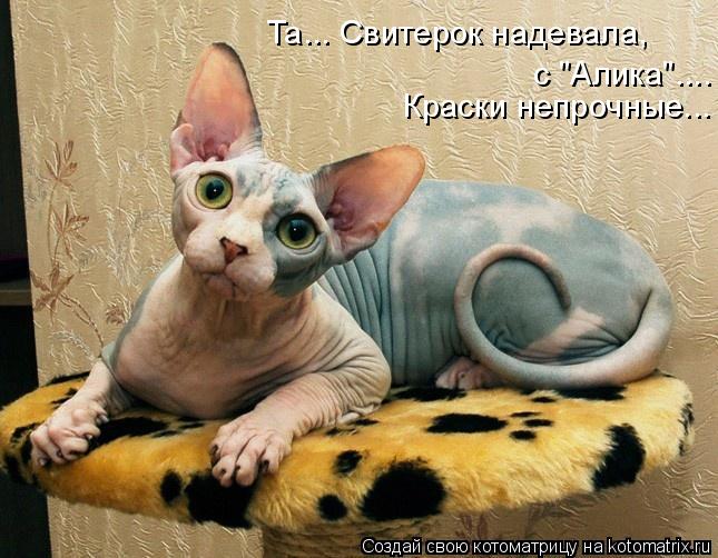 Краски непрочные... Та... Свитерок надевала, с "Алика"....... Котоматрица: Краски непрочные... Та... Свитерок надевала, с "Алика"....
