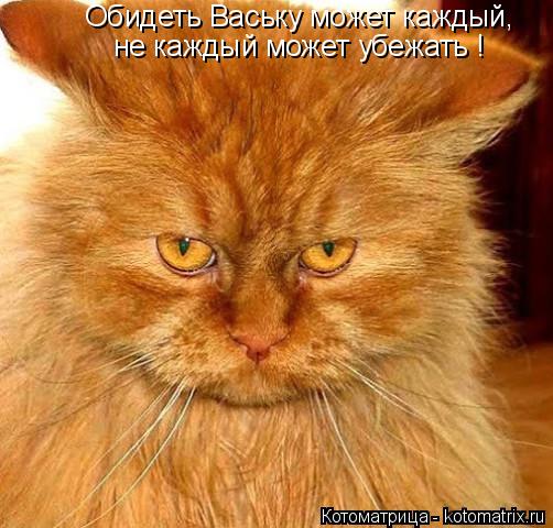 Обидеть Ваську может каждый, не каждый может убежать !... Котоматрица: Обидеть Ваську может каждый, не каждый может убежать !