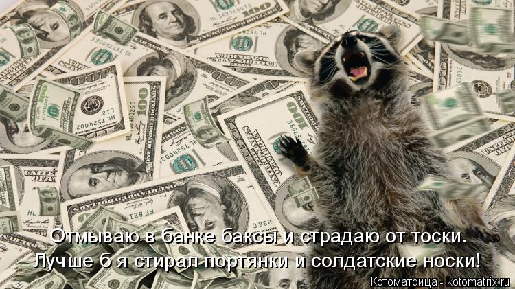 Лучше б я стирал портянки и солдатские носки! Отмываю в банке баксы и страдаю от тоски.... Котоматрица: Лучше б я стирал портянки и солдатские носки! Отмываю в банке баксы и страдаю от тоски.