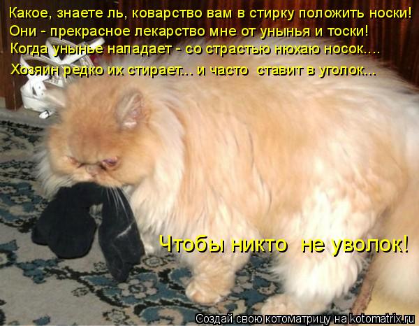 Какое, знаете ль, коварство вам в стирку положить носки! Они - прекрасное лекарство мне от унынья и т... Котоматрица: Какое, знаете ль, коварство вам в стирку положить носки! Они - прекрасное лекарство мне от унынья и тоски! Когда унынье нападает - со страстью