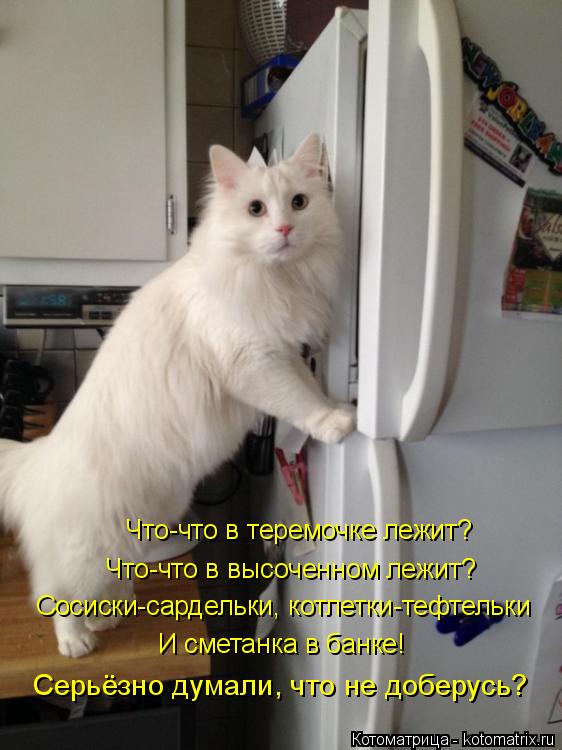 Что-что в теремочке лежит? Что-что в высоченном лежит? Сосиски-сардельки, котлетки-тефтельки И смета... Котоматрица: Что-что в теремочке лежит? Что-что в высоченном лежит? Сосиски-сардельки, котлетки-тефтельки И сметанка в банке! Серьёзно думали, что не доб?