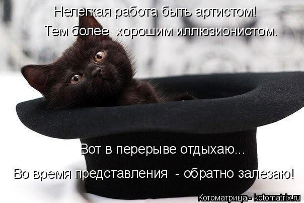 Вот в перерыве отдыхаю... Во время представления - обратно залезаю! Нелегкая работа быть артистом! ... Котоматрица: Вот в перерыве отдыхаю... Во время представления - обратно залезаю! Нелегкая работа быть артистом! Тем более хорошим иллюзионистом.