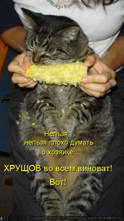 Вот! ХРУЩОВ во всем виноват! Нельзя, нельзя плохо думать о хозяйке...... Котоматрица: Вот! ХРУЩОВ во всем виноват! Нельзя, нельзя плохо думать о хозяйке...