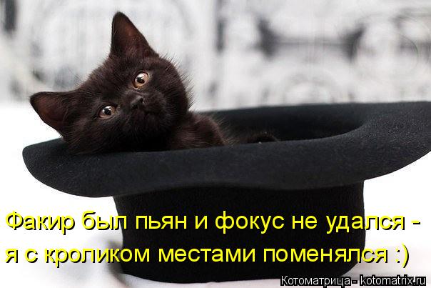 Факир был пьян и фокус не удался - я с кроликом местами поменялся :)... Котоматрица: Факир был пьян и фокус не удался - я с кроликом местами поменялся :)