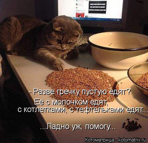 - Разве гречку пустую едят? Её с молочком едят, ...Ладно уж, помогу... с котлетками, с тефтельками е... Котоматрица: - Разве гречку пустую едят? Её с молочком едят, ...Ладно уж, помогу... с котлетками, с тефтельками едят...