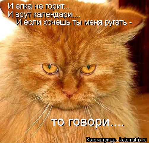 И елка не горит... И врут календари.... И если хочешь ты меня ругать - то говори....... Котоматрица: И елка не горит... И врут календари.... И если хочешь ты меня ругать - то говори....