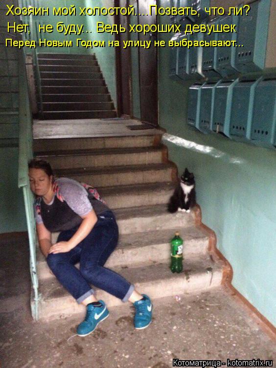 Хозяин мой холостой....Позвать, что ли? Нет, не буду... Ведь хороших девушек Перед Новым Годом на ул... Котоматрица: Хозяин мой холостой....Позвать, что ли? Нет, не буду... Ведь хороших девушек Перед Новым Годом на улицу не выбрасывают... Перед Новым Годом на у?
