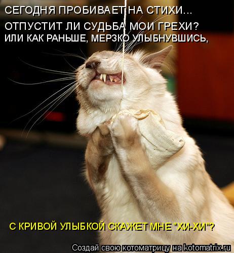 СЕГОДНЯ ПРОБИВАЕТ НА СТИХИ... ОТПУСТИТ ЛИ СУДЬБА МОИ ГРЕХИ? ИЛИ КАК РАНЬШЕ, МЕРЗКО УЛЫБНУВШИСЬ, С КР... Котоматрица: СЕГОДНЯ ПРОБИВАЕТ НА СТИХИ... ОТПУСТИТ ЛИ СУДЬБА МОИ ГРЕХИ? ИЛИ КАК РАНЬШЕ, МЕРЗКО УЛЫБНУВШИСЬ, С КРИВОЙ УЛЫБКОЙ СКАЖЕТ МНЕ "ХИ-ХИ"?