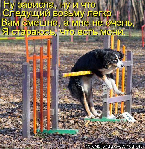 Ну зависла, ну и что Следущий возьму легко Вам смешно, а мне не очень, Я стараюсь, что есть мочи.... Котоматрица: Ну зависла, ну и что Следущий возьму легко Вам смешно, а мне не очень, Я стараюсь, что есть мочи.