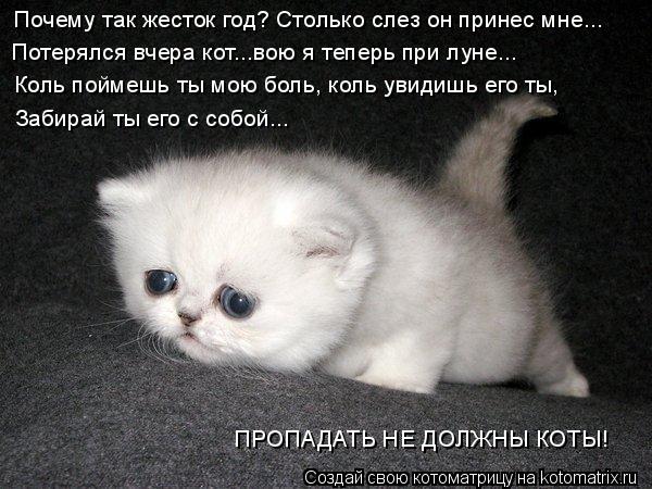 Почему так жесток год? Столько слез он принес мне... Потерялся вчера кот...вою я теперь при луне... К... Котоматрица: Почему так жесток год? Столько слез он принес мне... Потерялся вчера кот...вою я теперь при луне... Коль поймешь ты мою боль, коль увидишь его ты