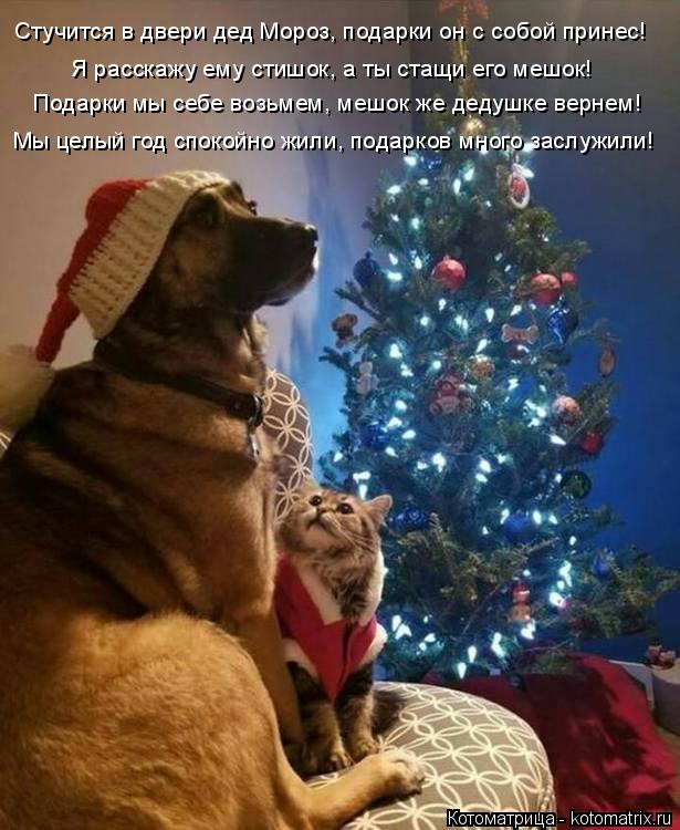 Я расскажу ему стишок, а ты стащи его мешок! Подарки мы себе возьмем, мешок же дедушке вернем! Мы це... Котоматрица: Я расскажу ему стишок, а ты стащи его мешок! Подарки мы себе возьмем, мешок же дедушке вернем! Мы целый год спокойно жили, подарков много зас?