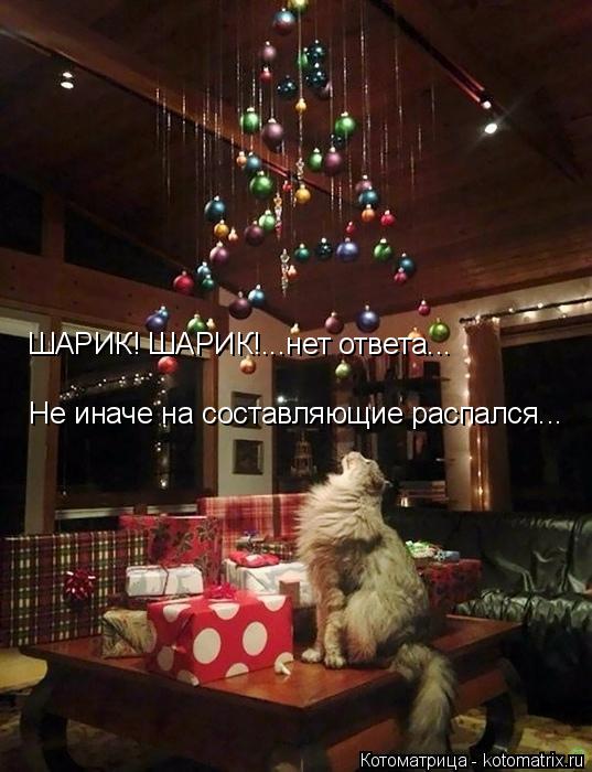 ШАРИК! ШАРИК!...нет ответа... Не иначе на составляющие распался...... Котоматрица: ШАРИК! ШАРИК!...нет ответа... Не иначе на составляющие распался...