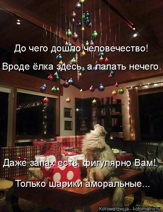 До чего дошло человечество! Вроде ёлка здесь, а лапать нечего. Даже запах есть, фигулярно Вам! Только... Котоматрица: До чего дошло человечество! Вроде ёлка здесь, а лапать нечего. Даже запах есть, фигулярно Вам! Только шарики аморальные...