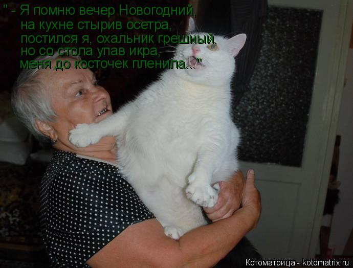 " - Я помню вечер Новогодний, на кухне стырив осетра, постился я, охальник грешный, но со стола упав... Котоматрица: " - Я помню вечер Новогодний, на кухне стырив осетра, постился я, охальник грешный, но со стола упав икра, меня до косточек пленила..."