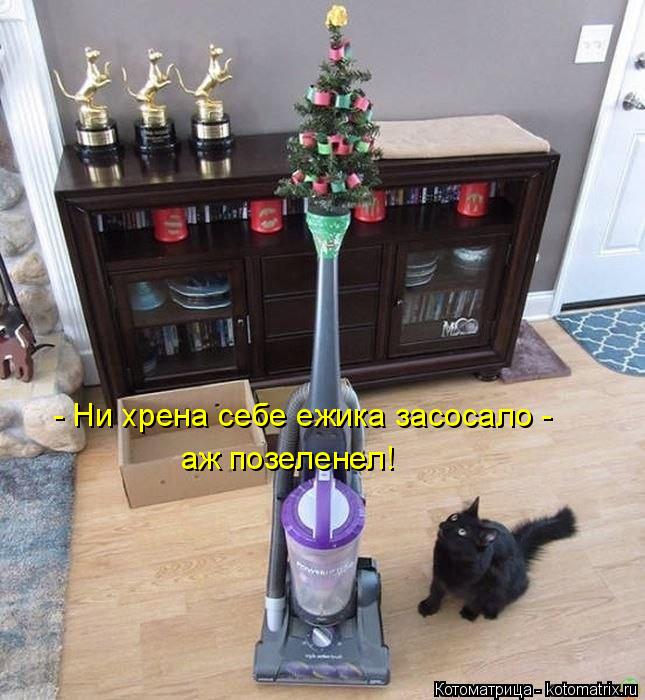 Котоматрица: - Ни хрена себе ежика засосало - аж позеленел!