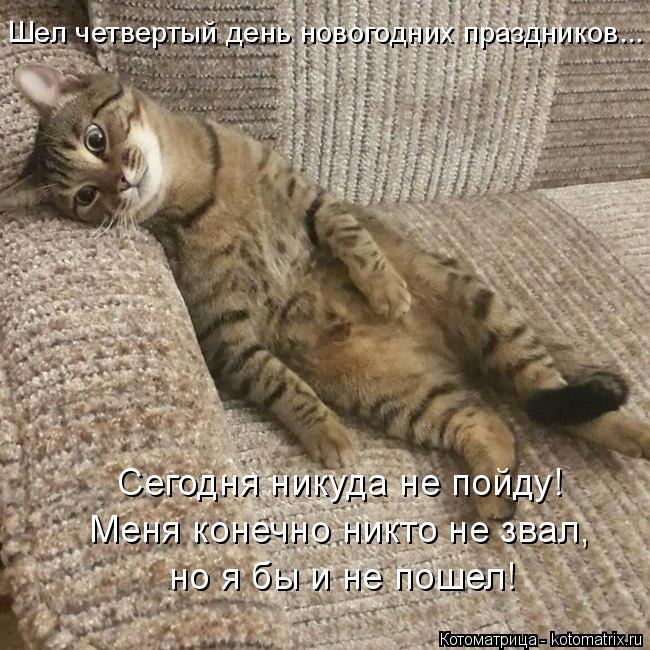 Сегодня никуда не пойду! Меня конечно никто не звал, но я бы и не пошел! Шел четвертый день новогодн... Котоматрица: Сегодня никуда не пойду! Меня конечно никто не звал, но я бы и не пошел! Шел четвертый день новогодних праздников...