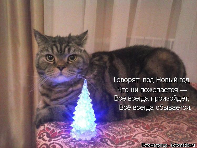 Говорят: под Новый год Что ни пожелается — Всё всегда произойдёт, Всё всегда сбывается.... Котоматрица: Говорят: под Новый год Что ни пожелается — Всё всегда произойдёт, Всё всегда сбывается.
