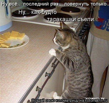таракашки съели... Ну всё... последний раз... повернуть только... Ну... как-будто... Котоматрица: таракашки съели... Ну всё... последний раз... повернуть только... Ну... как-будто
