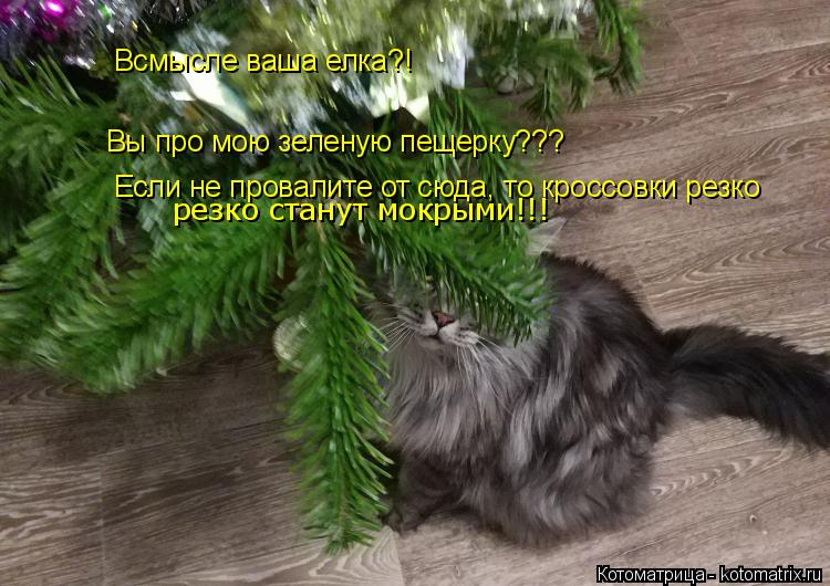 Всмысле ваша елка?! Вы про мою зеленую пещерку??? Если не провалите от сюда, то кроссовки резко резк... Котоматрица: Всмысле ваша елка?! Вы про мою зеленую пещерку??? Если не провалите от сюда, то кроссовки резко резко станут мокрыми!!!