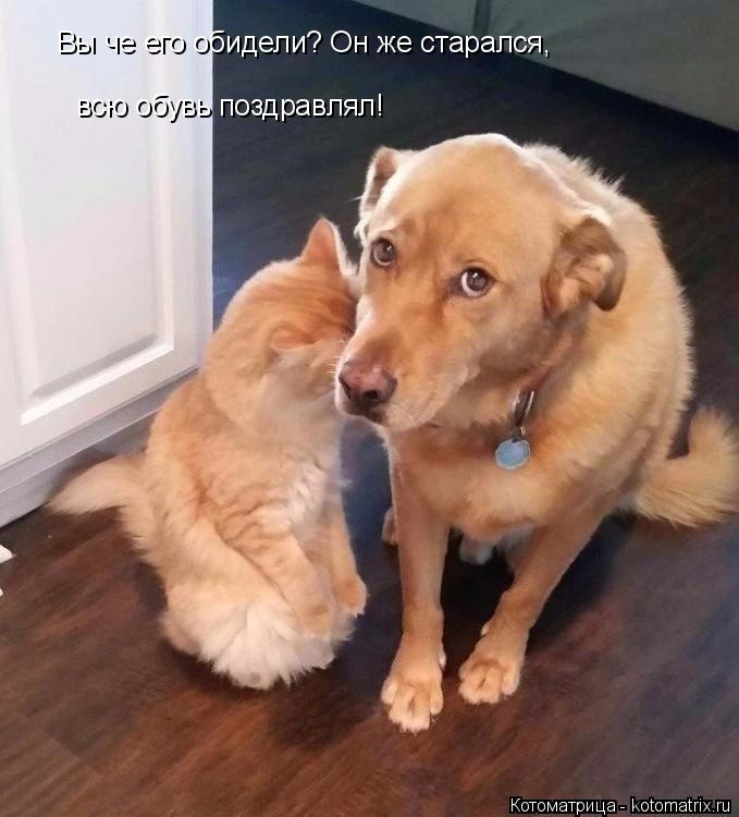 Вы че его обидели? Он же старался, всю обувь поздравлял!... Котоматрица: Вы че его обидели? Он же старался, всю обувь поздравлял!
