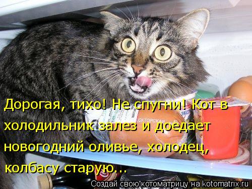 Котоматрица: Дорогая, тихо! Не спугни! Кот в холодильник залез и доедает   новогодний оливье, холодец,  колбасу старую...