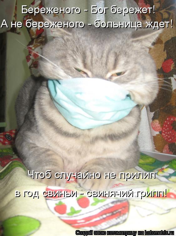 Чтоб случайно не прилип в год свиньи - свинячий грипп! Береженого - Бог бережет! А не береженого - бо... Котоматрица: Чтоб случайно не прилип в год свиньи - свинячий грипп! Береженого - Бог бережет! А не береженого - больница ждет!