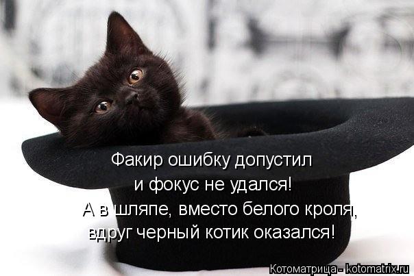 вдруг черный котик оказался! Факир ошибку допустил и фокус не удался! А в шляпе, вместо белого кроля,... Котоматрица: вдруг черный котик оказался! Факир ошибку допустил и фокус не удался! А в шляпе, вместо белого кроля,