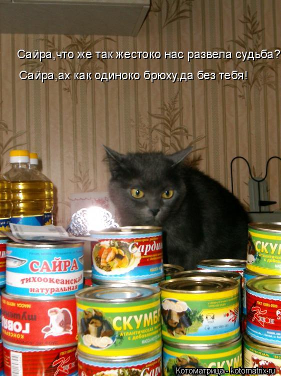 Сайра,что же так жестоко нас развела судьба? Сайра,ах как одиноко брюху,да без тебя!... Котоматрица: Сайра,что же так жестоко нас развела судьба? Сайра,ах как одиноко брюху,да без тебя!
