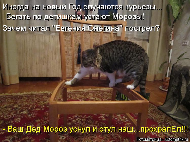 Иногда на новый Год случаются курьезы... Бегать по детишкам устают Морозы! Зачем читал "Евгения Онеги... Котоматрица: Иногда на новый Год случаются курьезы... Бегать по детишкам устают Морозы! Зачем читал "Евгения Онегина" пострел? - Ваш Дед Мороз уснул и стул