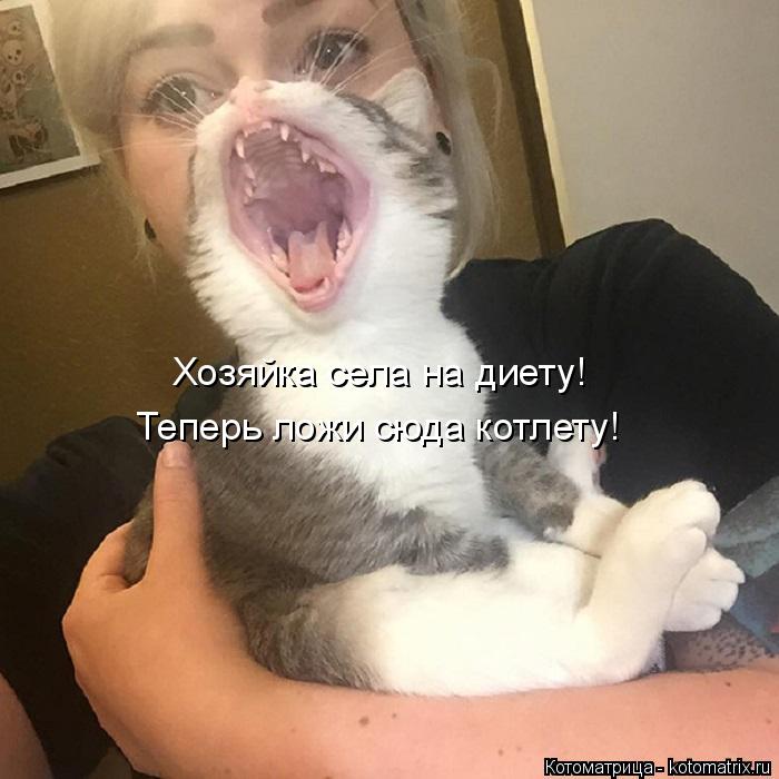 Хозяйка села на диету! Теперь ложи сюда котлету!... Котоматрица: Хозяйка села на диету! Теперь ложи сюда котлету!
