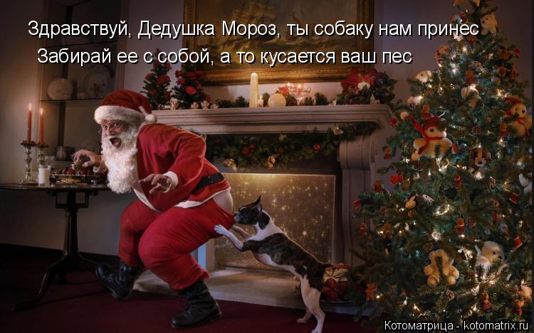 Котоматрица: Здравствуй, Дедушка Мороз, ты собаку нам принес Забирай ее с собой, а то кусается ваш пес