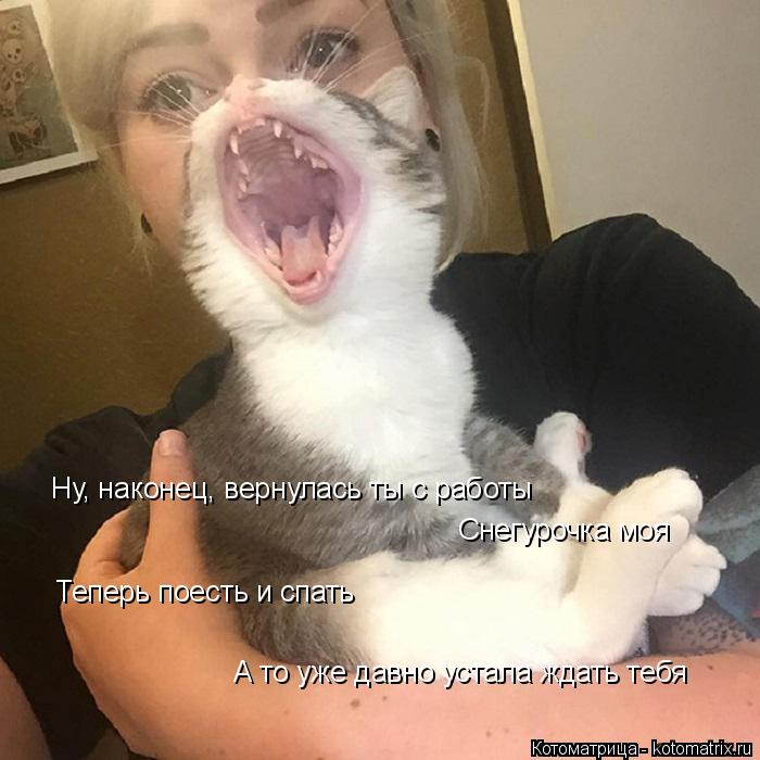 Ну, наконец, вернулась ты с работы Снегурочка моя Теперь поесть и спать А то уже давно устала ждать т... Котоматрица: Ну, наконец, вернулась ты с работы Снегурочка моя Теперь поесть и спать А то уже давно устала ждать тебя