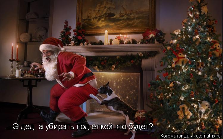 Э дед, а убирать под ёлкой кто будет?... Котоматрица: Э дед, а убирать под ёлкой кто будет?