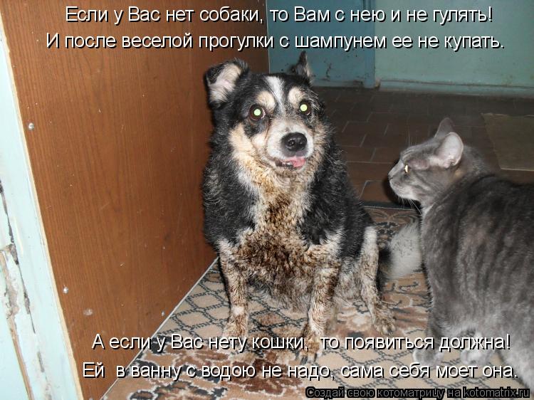Если у Вас нет собаки, то Вам с нею и не гулять! И после веселой прогулки с шампунем ее не купать. А ... Котоматрица: Если у Вас нет собаки, то Вам с нею и не гулять! И после веселой прогулки с шампунем ее не купать. А если у Вас нету кошки, то появиться должна!