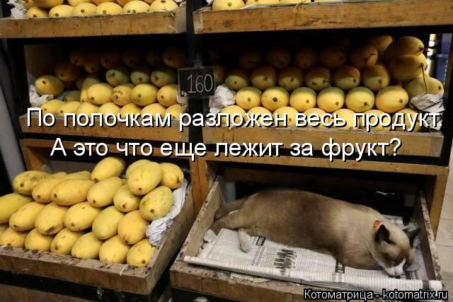 По полочкам разложен весь продукт. А это что еще лежит за фрукт?... Котоматрица: По полочкам разложен весь продукт. А это что еще лежит за фрукт?